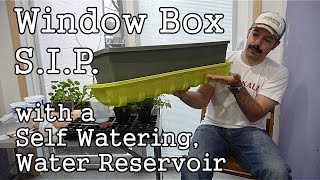 Homemade Self Watering SubIrrigated Window Box SIP with a Water Reservoir [upl. by Eppillihp87]