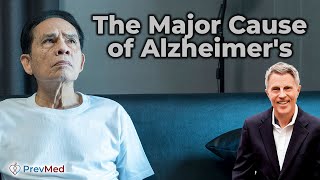 The Major Cause of Alzheimers [upl. by Branscum249]