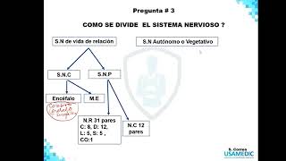 Neuroanatomía Anatomía Humana preguntas 1  3 [upl. by Jahdal]