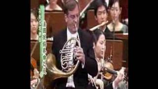 Richard Strauss French horn concerto n1 [upl. by Nollad]