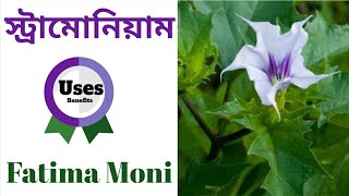 Stramonium Symptoms Rubrics  Fatima Moni  Homoeopathic Medicine Bangla [upl. by Leftwich]