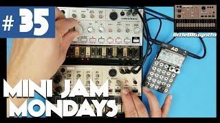 Mini Jam Mondays 35  Korg Volca Bass Volca Keys amp Teenage Engineering PO32 Tonic [upl. by Ryter764]