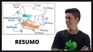 HORMÔNIOS DA DIGESTÃO [upl. by Ysus]