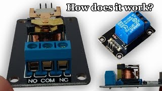 Inside of a SRD05VDCSLC And How a Relay Works [upl. by Oetam]