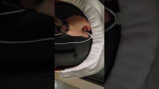 How to put the Stokke V1V2 seat cover on the seat [upl. by Jaye]