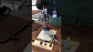 SainSmart 5axis robotic arm [upl. by Muiram]