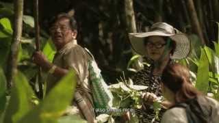 PETRONAS Kaamatan 2013 Episode 2 Traditional Food [upl. by Aihseuqram]