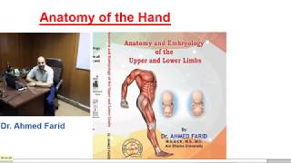 Anatomy of the Hand part 1 Palm of Hand  Dr Ahmed Farid [upl. by Sandro]