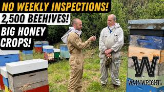 How To Manage Thousands Of Beehives With David Wainwright Wainwrights Bee Farm [upl. by Nnyletak651]