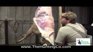 The Easiest and Quickest Way to Skin a Deer [upl. by Cates]