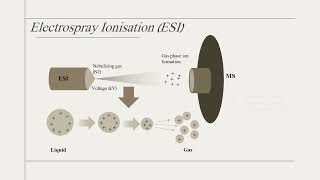 Quickly understand various types of LCMS [upl. by Mailand]