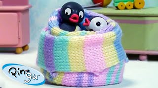 Pingu Gets Creative 🐧  Pingu  Official Channel  Cartoons For Kids [upl. by Amuh450]