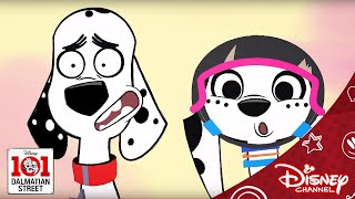 101 Dalmatian Street  Prank Puppies  Disney Channel NL [upl. by Cornelia334]