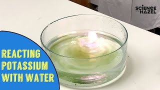 Reaction of Potassium with Water  Chemistry Practicals [upl. by Ainedrag93]