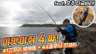 벌금이 무려 5천만원짜리 물고기 feat 자바리 다금바리 벵에돔 자바리 능성어 호주낚시 찌낚시 바다낚시 갯바위낚시 참돔 감성돔 뱅에돔 벵에돔 [upl. by Haleak]