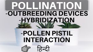 Topic 22 Pollination Outbreeding Devices amp Pollen Pistil Interaction  Reproduction in Plants [upl. by Orimlede495]