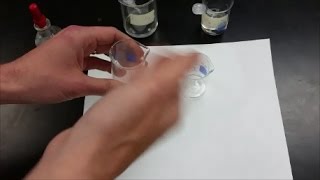 Qual Lab  Thiosulfate and Acetate Anion Tests [upl. by Takeshi]