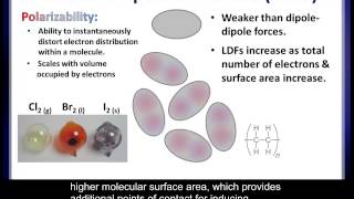 Intermolecular Forces in Polymers [upl. by Noyahs]