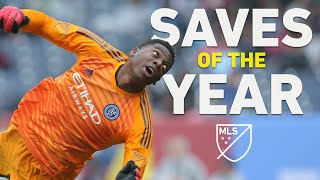 quotHow On Earth Did it Stay Outquot  MLS Saves of the Year [upl. by Branca]