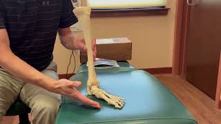 How to help COLLAPSED foot arch Orthotics explained [upl. by Salsbury]