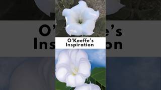 OKeeffes Inspiration [upl. by Yttocs365]