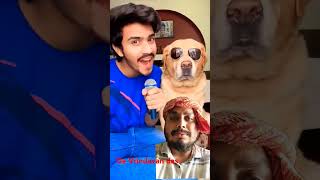 cold drink vs nimbu pani😂 shorts  Anant rastogi comedy dog doglover facts labrador funny [upl. by Fransen]