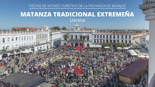 Fiestas de Interés Turístico de Badajoz Matanza Tradicional Extremeña Llerena [upl. by Chalmer]