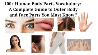 100 Human Body Parts Vocabulary A Complete Guide to Outer Body and Face Parts You Must Know [upl. by Menedez]