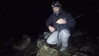 How To Catch Striped Bass With Live Eels At Inlets During The Night On Cape Cod [upl. by Baird690]