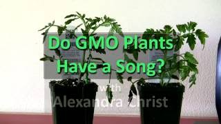 Do GMO Plants Sing [upl. by Nevur721]