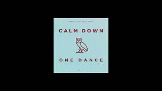 Calm Down X One Dance Jr Stit Mashup [upl. by Aleece]