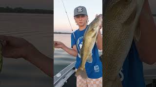 WALLEYE ON TOPWATER fishing bass bassfishing walleyefishing walleye topwater [upl. by Kare759]