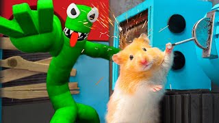 Hamster Adventures In Rainbow Friends Maze In Real Life OBSTACLE COURSE 2 [upl. by Leisam]