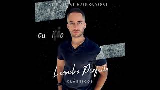 Curtição cover Leandro Perfeito [upl. by Surtimed]