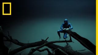 Experience the Underwater World Through the Eyes of a Free Diver  Short Film Showcase [upl. by Farris]