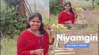 Niyamgiri Dangaria Trive culture and natural gailang grama [upl. by Hgieloj]