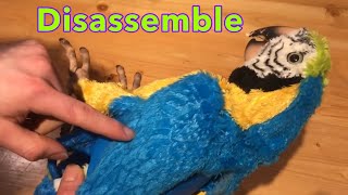 How to take apart Squawkers Mccaw Parrot Furreal Friends [upl. by Riem627]