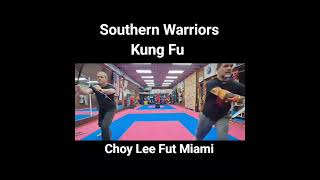 Double Hook Sword Choy Lee Fut Kung Fu Miami [upl. by Laehcimaj731]