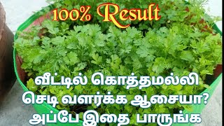 கொத்தமல்லி வேகமாக வளர இந்த டிப்ஸ் ட்ரை பண்ணுங்க 100 Result Gardeningtips [upl. by Lledra]