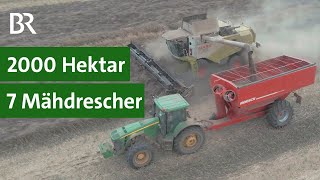 Landwirtschaft in Russland Ernte mit sieben Mähdreschern  Landtechnikvideos [upl. by Douglas]