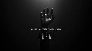 Cosmo  Cazzate JAPA Remix [upl. by Lemrahc75]