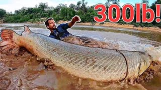 FISH 50 KG MYSORE Kabini Dam [upl. by Girovard452]