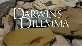 Darwins Dilemma  German [upl. by Ainavi278]