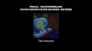 PINGAL Slowed  ReverbGuyon waton [upl. by Koo307]