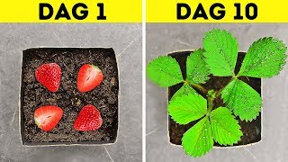 30 MUSTKNOW HACKS VOOR JE TUIN [upl. by Steady]