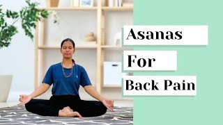 8 Asanas for back Pain backpain yogforhealthylife healthiswealthyoginilifestyle ahappyyogini [upl. by Enellek606]