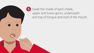 How to Collect a Buccal Swab Sample  StepbyStep Guide [upl. by Llennahc]