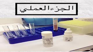 خطوات تخفيف السيرم لتحليل CRP Serial dilution method [upl. by Rehc]