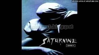 Saturnine half [upl. by Nodgnal133]