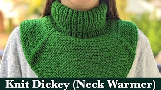 Winter Knit Dickey Neck Warmer Tutorial [upl. by Forrer]